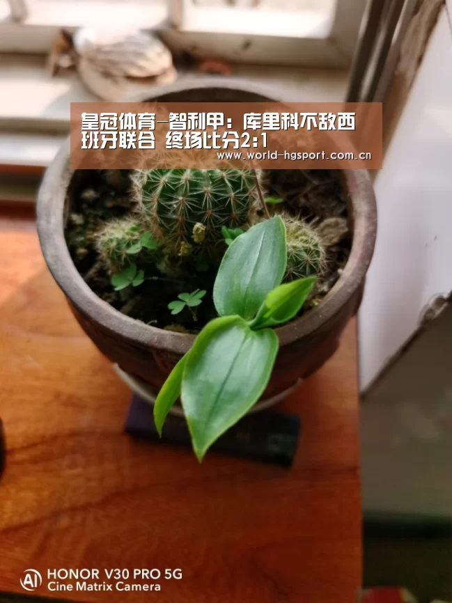 皇冠体育-智利甲: 库里科不敌西班牙联合 终场比分2:1(图1) 皇冠体育网址